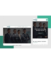 Consult Experts