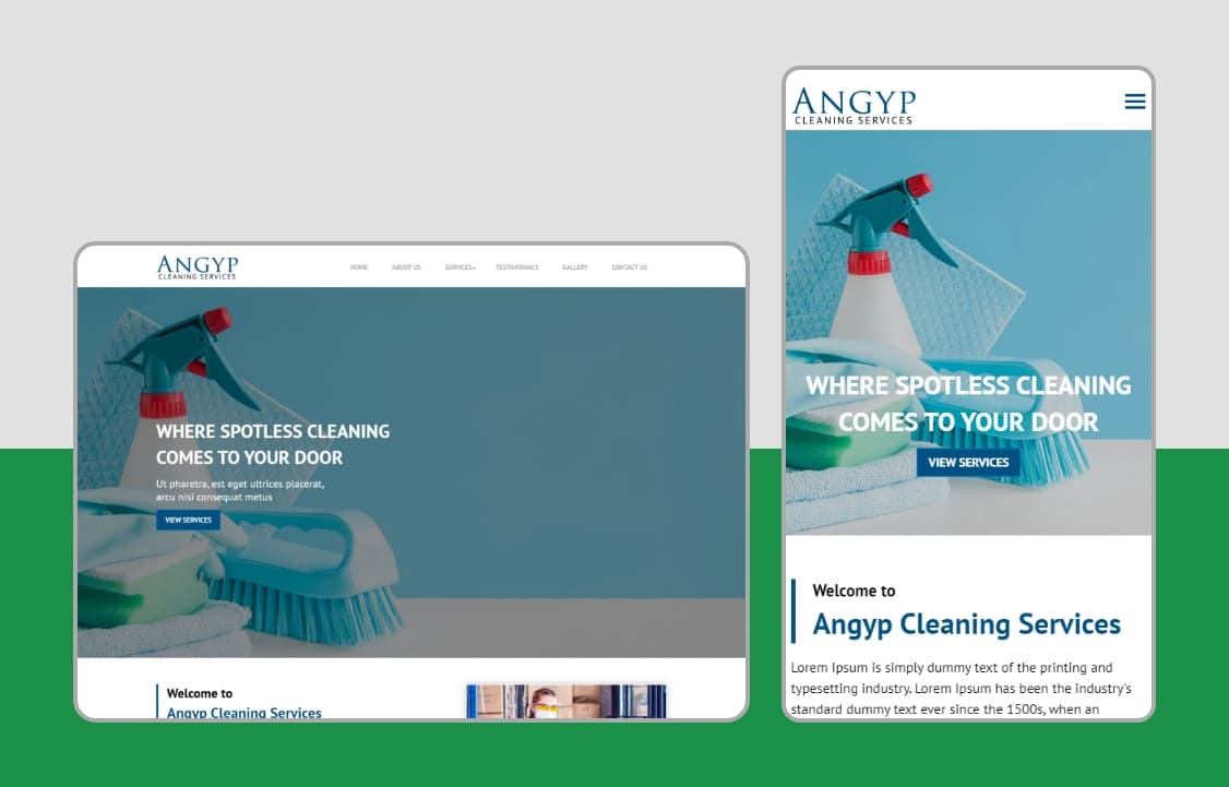 Angyp Cleaning Services